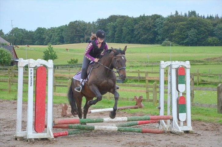 Anden særlig race Zatin - Låner! d:<3 billede 4