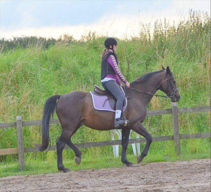 Anden særlig race Zatin - Låner! d:<3 billede 5