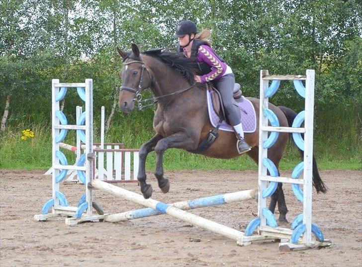 Anden særlig race Zatin - Låner! d:<3 billede 6