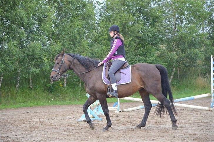 Anden særlig race Zatin - Låner! d:<3 billede 7