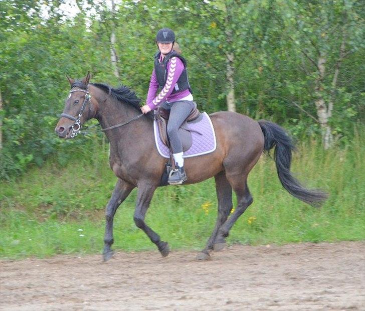 Anden særlig race Zatin - Låner! d:<3 billede 8