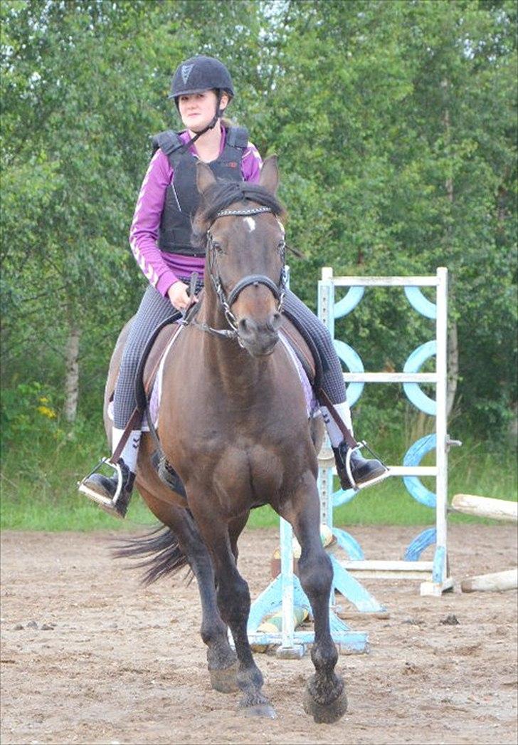 Anden særlig race Zatin - Låner! d:<3 billede 9