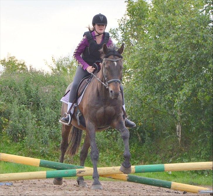 Anden særlig race Zatin - Låner! d:<3 billede 11