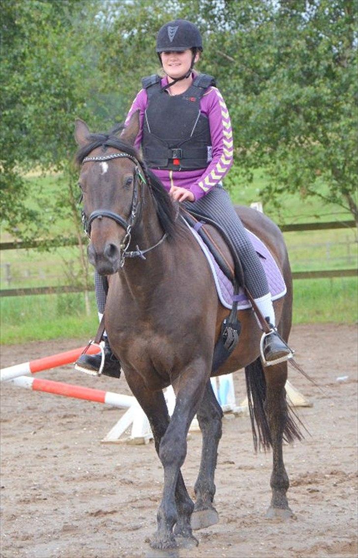 Anden særlig race Zatin - Låner! d:<3 billede 12