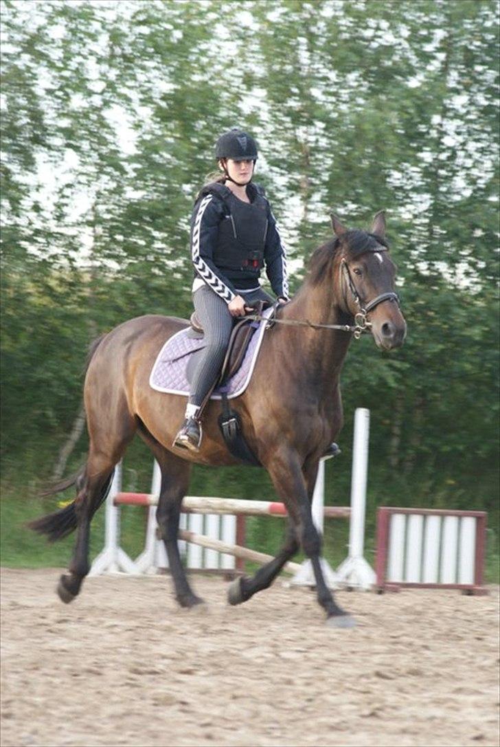 Anden særlig race Zatin - Låner! d:<3 billede 14