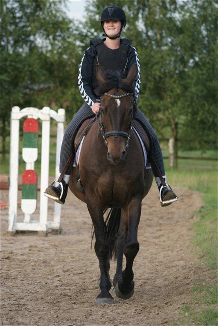 Anden særlig race Zatin - Låner! d:<3 billede 15