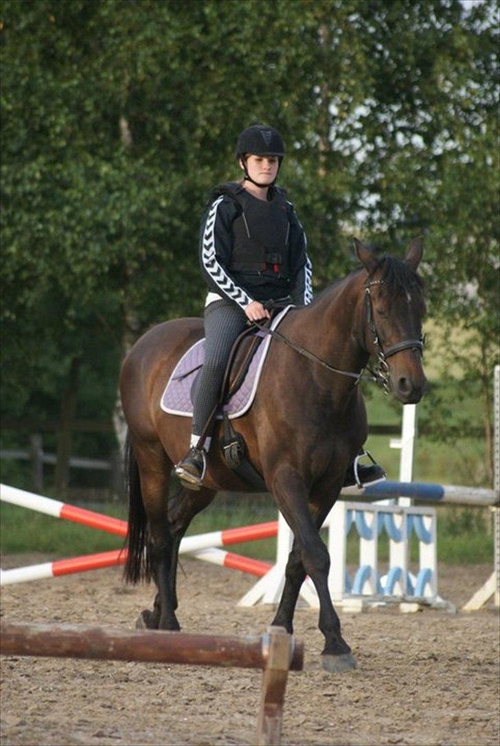 Anden særlig race Zatin - Låner! d:<3 billede 16