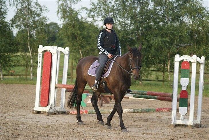 Anden særlig race Zatin - Låner! d:<3 billede 17