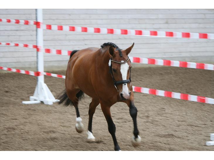 {{currentPhoto.altText}} billede {{currentPhoto.number}}