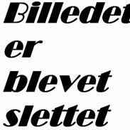 Dansk Varmblod Arabell