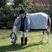 Welsh Pony af Cob-type (sec C) Bugatti<3