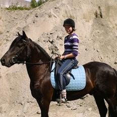 Koldblodstraver Garli Eld