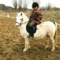 Dartmoor † Donna af stegstedgård †