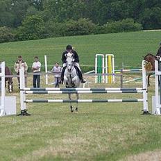 Anden særlig race  (solgt)