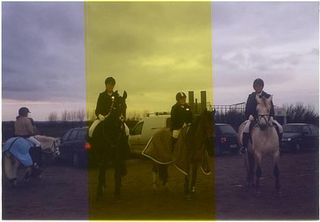 Anden særlig race Calvin Klein <3 R.I.P - TInka og Majken, Calle og mig, Sandie og Pjevs - den dag vi blev klubmestre for anden gang billede 5