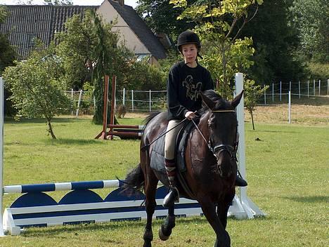 Anden særlig race Skagens Freja <3 SOLGT - Tja... Bølgespringet. billede 9