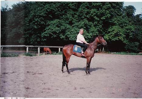 Fuldblod (XX) Ballard xx (R.I.P) - BAllard med hans gamle ejer Susanne! billede 4