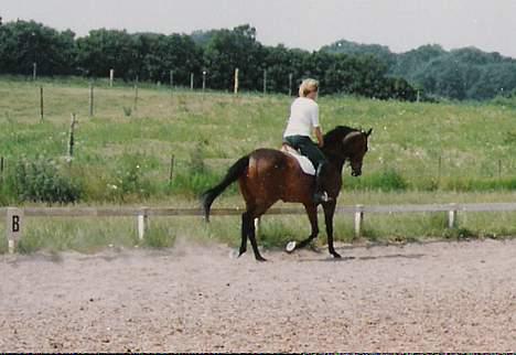 Fuldblod (XX) Ballard xx (R.I.P) - Samme her Ballard og Susanne.. billede 6