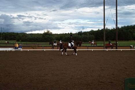 Fuldblod (XX) Ballard xx (R.I.P) - BAllard og jeg til et stævne.. Dårligt, sløret billede, men men I må overleve! billede 8