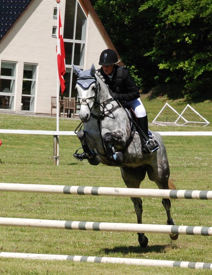 Anden særlig race Kalhaves Deshabell -Solgt - Morsø maj 2007 billede 3