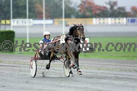 Koldblodstraver Henfiksa - Fiksa i Løp! Dette bilde er tatt i 2001! billede 10