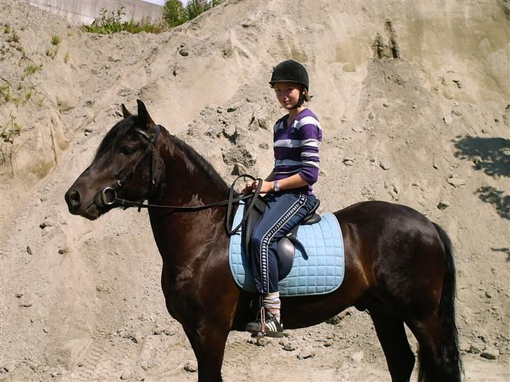 Koldblodstraver Garli Eld - Elden og Stine på ridetur søndag 8. juli 2008 billede 1