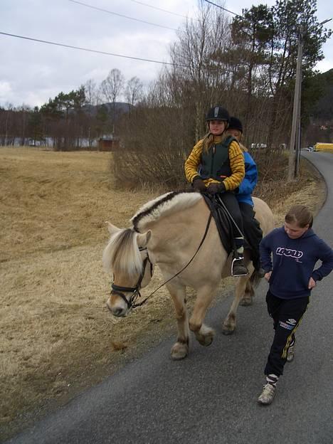 Fjordhest Pepsi<3 - birte og Stina Marie rider på Pepsi den 10. april =) <3<3 billede 3