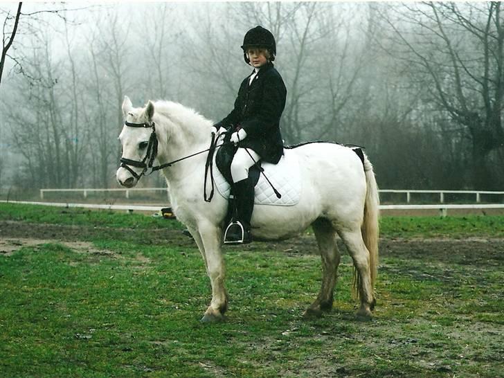 Dartmoor † Donna af stegstedgård † - Til stævne billede 2