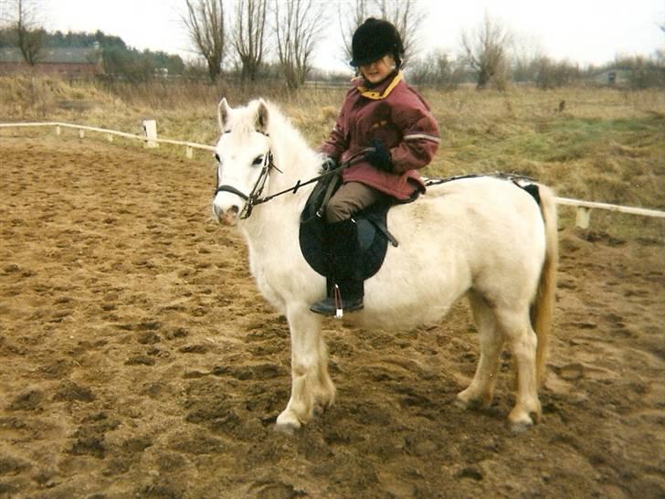 Dartmoor † Donna af stegstedgård † - Donna og jeg (er 9 år på billedet) billede 3