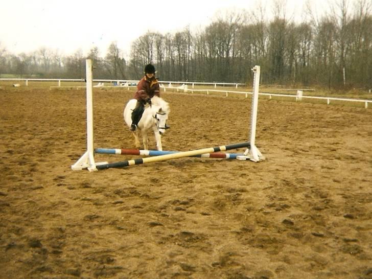 Dartmoor † Donna af stegstedgård † - Donna og jeg springer (er 9 år op billedet) billede 4