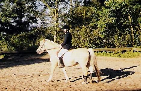 Fjordhest Lotte *død* - Lotte og mig til vores første stævne. billede 10