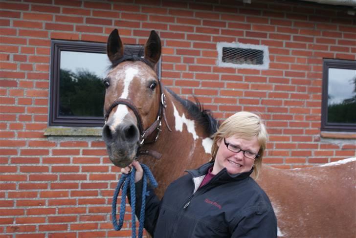 Pinto Kari - Kari til hingst :) billede 1