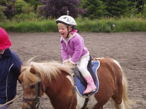Shetlænder Dinamarka ( DØD ) - Melanie rider for første gang billede 4