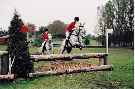 DSP Pontus (solgt) - Til haregabgård steeplechase 2002! :) billede 3