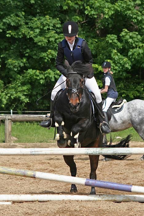 Anden særlig race Moonlight - Opvarmning til LB-Cup. Hvor jeg vandt en 2 plads. I omspringningen blev den sat op til LA...  billede 1