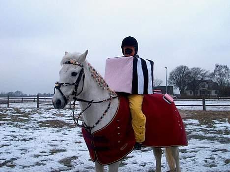 New Forest Life Energi Anis (solgt) - Fastealavn 2003 billede 10