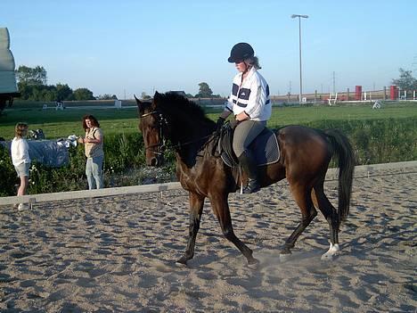 Traver Basse - Her Rider Min Kusine På HaM.! for Første gang! billede 2