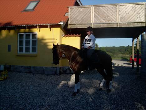 Traver Basse - heR Står Han lige samm mæ Min Kusine!... Billede r lidt mørkt billede 5