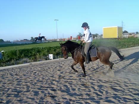 Traver Basse - heR Traver De lige LidT billede 6