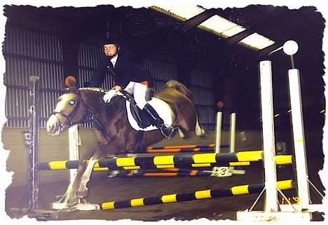 Anden særlig race Freja - Freja til stævne -hun vandt klassen. billede 5