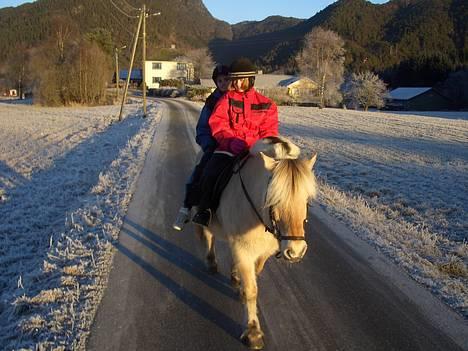 Fjordhest Pepsi<3 - Min kusine, Emilie og Birte rider på Pepsi 7. januar =) <3 billede 6