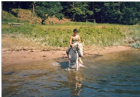 Anden særlig race  (solgt) - ude at bade:-) billede 4