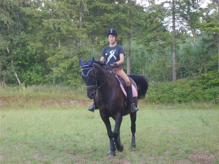 Pinto Monet - Monet i trav billede 7