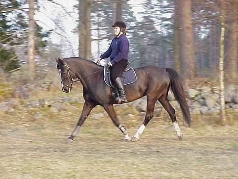 Anden særlig race Gabriella (Gaby) - Se hvor fint jeg kan gå... billede 2