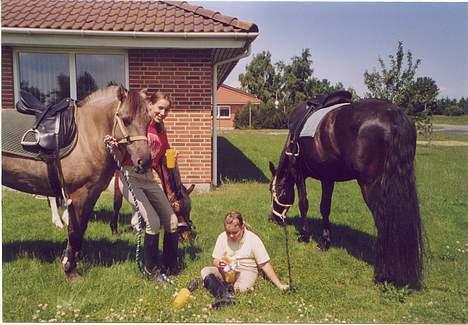 Fjordhest Frikke - *DØD* - Frikke, Anne, Calvin, Camilla og Freja holder frokostpause hjemme på græsplænen under en tur. billede 8