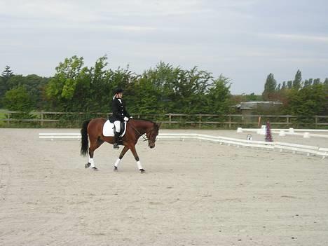 Anden særlig race Dejlige Lucky ! billede 10