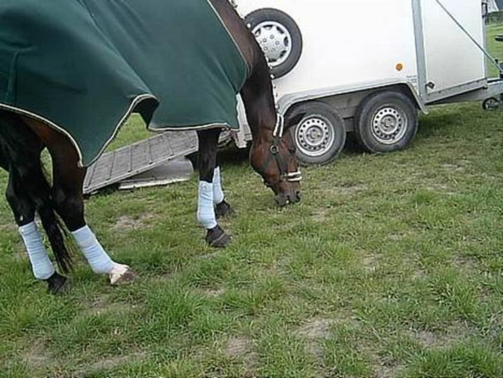 {{currentPhoto.altText}} billede {{currentPhoto.number}}