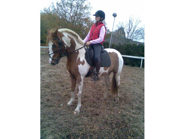 {{currentPhoto.altText}} billede {{currentPhoto.number}}