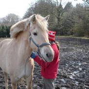Anden særlig race Rasmus *solgt*