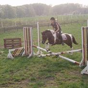 Anden særlig race Indy